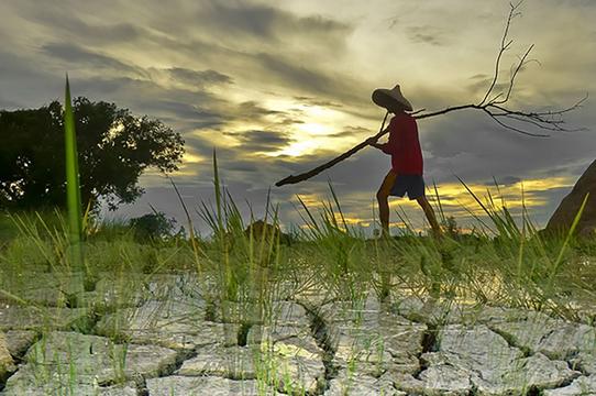 Philippines cảnh báo mức nắng nóng “rất nguy hiểm” 