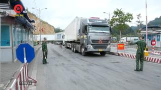 Trên 55.700 tấn nông sản xuất nhập khẩu qua tỉnh Lạng Sơn