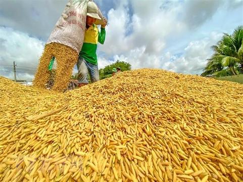 Bộ Công Thương yêu cầu bình ổn giá gạo trong nước