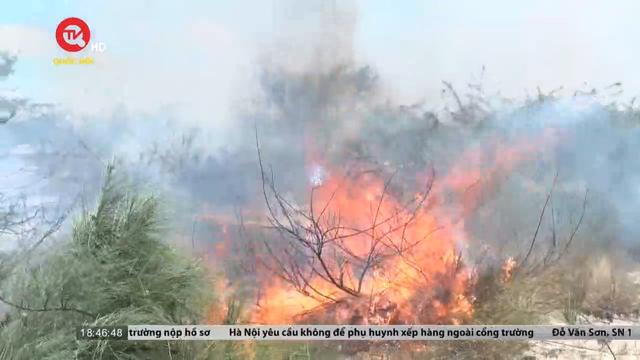 Quảng Bình: Cháy rừng phi lao ven biển 