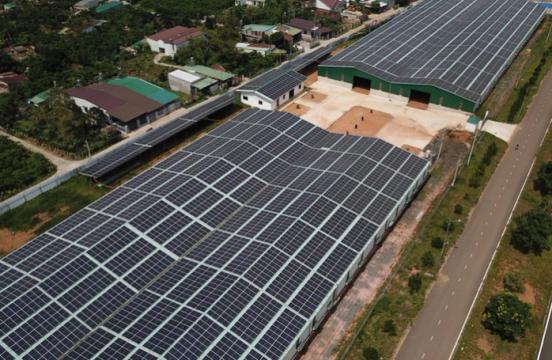 Lâm Đồng yêu cầu dừng mua điện, bóc dỡ hàng nghìn tấm pin mặt trời lắp "chui"
