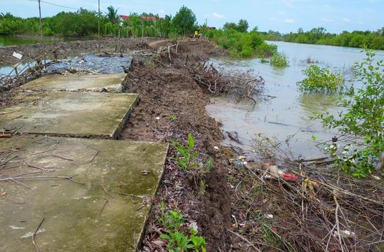 Cà Mau: Xuất hiện hơn 590 vị trí sạt lở, sụt lún đất trong mùa khô hạn