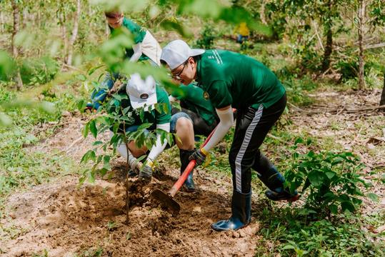 Việt Nam đang vượt chỉ tiêu thực hiện 1 tỷ cây xanh