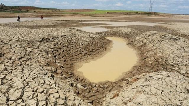 Hạn mặn đe doạ hơn 6000 hécta lúa và cây ăn trái ở đồng bằng sông Cửu Long