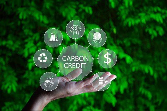 Đà Nẵng mong muốn sớm tham gia thị trường tín chỉ carbon 