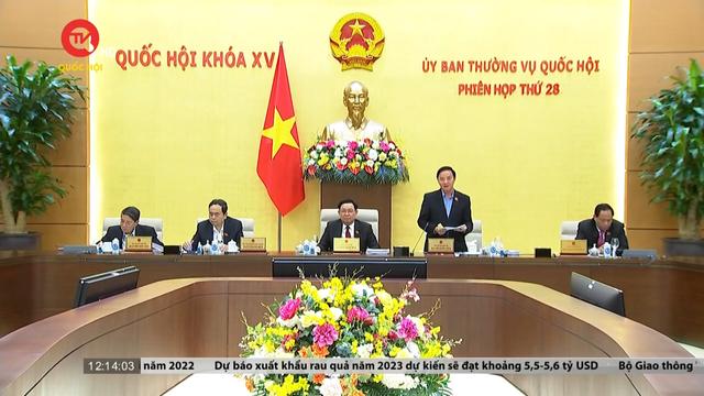 Ủy ban Thường vụ Quốc hội quyết định thành lập thị xã Việt Yên và thị trấn Hậu Hiền