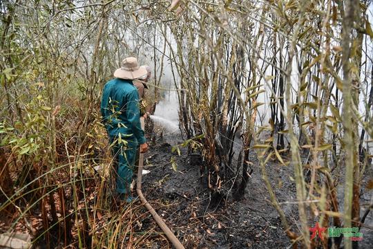 Liên tiếp 2 vụ cháy rừng ở Kiên Giang