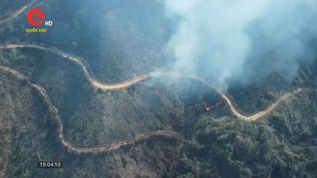 Hơn 18ha rừng bị cháy tại Đắk Nông
