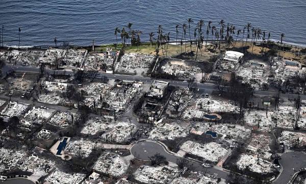 Số người chết trong vụ cháy rừng Hawaii tăng lên 110