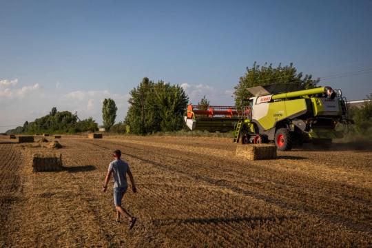 Ukraine đệ đơn lên WTO kiện 3 nước Đông Âu cấm nhập khẩu ngũ cốc

