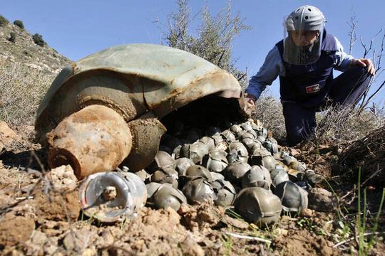 Ukraine bắt đầu sử dụng bom chùm trên chiến trường