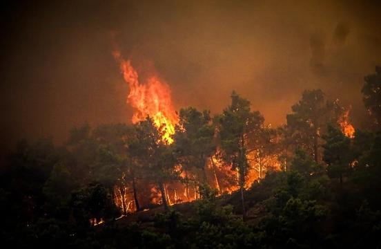 Đăk Nông xảy ra 26 vụ cháy rừng trong 4 tháng đầu năm 