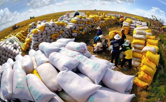 Xuất khẩu gạo có nhiều tín hiệu tích cực ngay từ quý đầu năm 2024