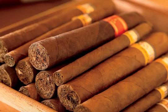 Hãng xì gà Cuba đạt doanh thu kỉ lục