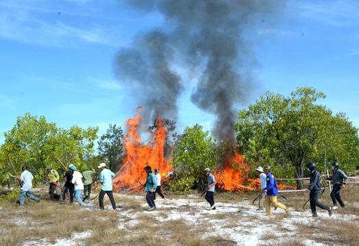 Kiểm lâm Quảng Nam lên tiếng về việc "đốt rừng" để diễn tập chữa cháy