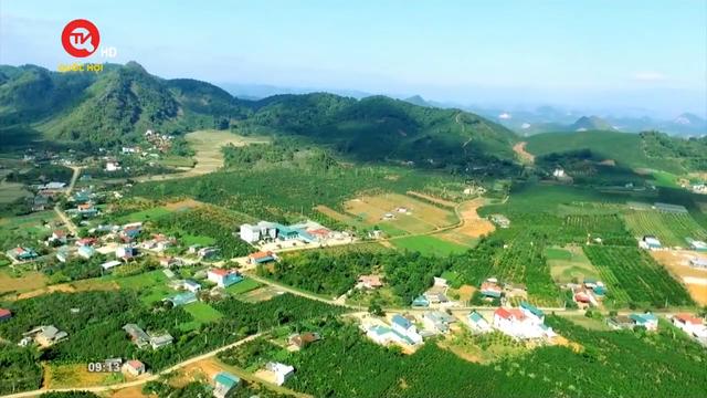 Nông nghiệp Việt Nam: Sản xuất không gây mất rừng (EUDR)