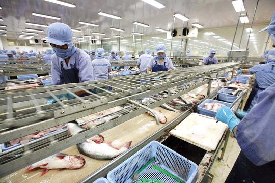 Thủy sản Việt Nam đã xuất khẩu tới hơn 170 thị trường 