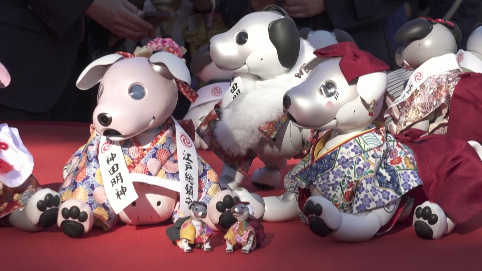 Độc đáo nghi lễ cầu nguyện cho chó robot ở Nhật Bản