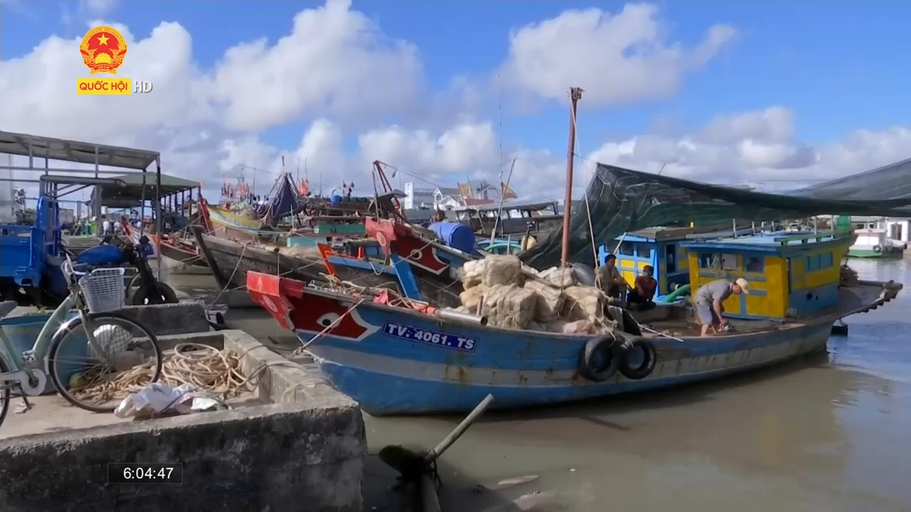 Trà Vinh: Hàng trăm tàu cá nằm bờ...chờ dầu giảm giá