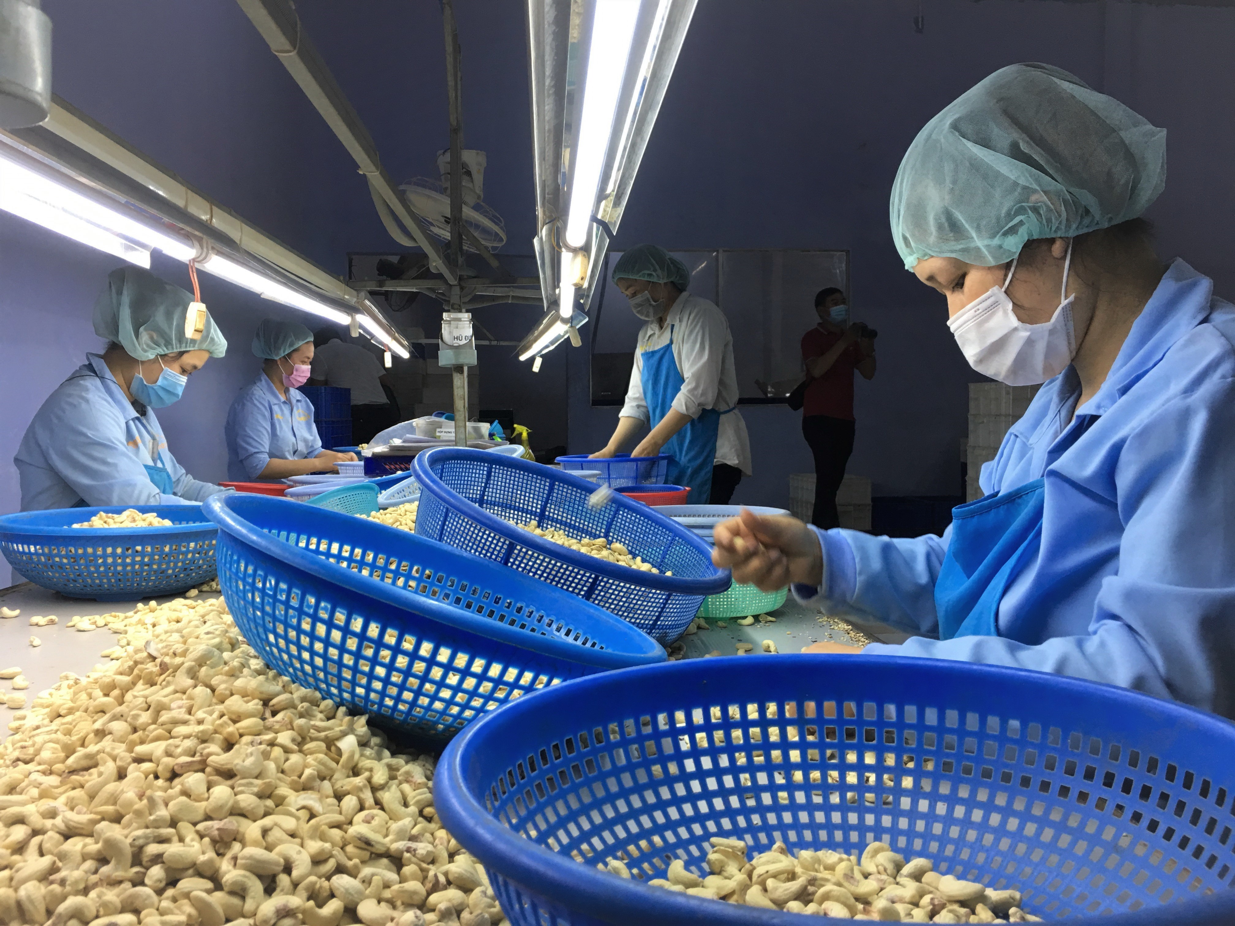 “Soán ngôi” Mỹ, Trung Quốc trở thành thị trường xuất khẩu nông sản lớn nhất của Việt Nam