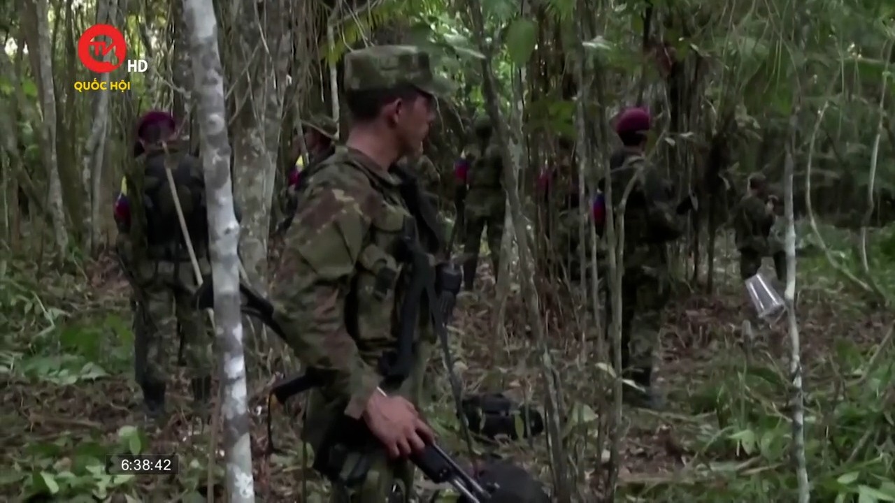 Liên hợp quốc kêu gọi Colombia giải thể các nhóm vũ trang