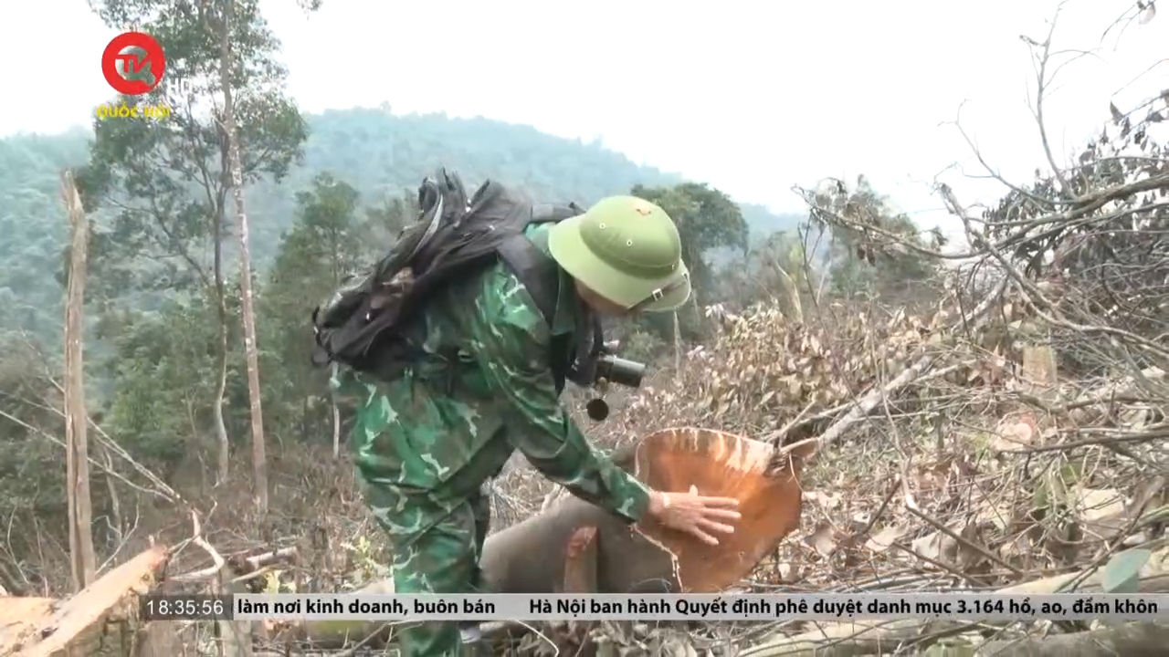 Đề nghị khởi tố vụ phá rừng giáp ranh ở Quảng Bình