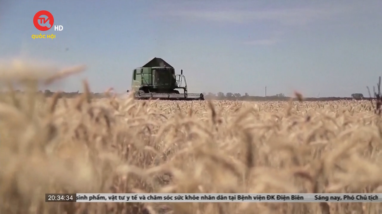 Tranh cãi quanh việc thực thi thỏa thuận ngũ cốc Nga - Ukraine