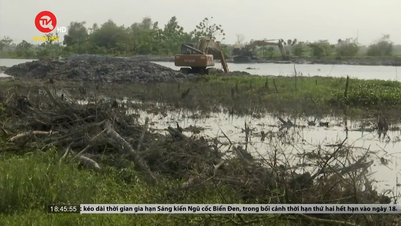 Thừa Thiên Huế: Rừng ngập mặn bị san ủi do thi công dự án thoát lũ