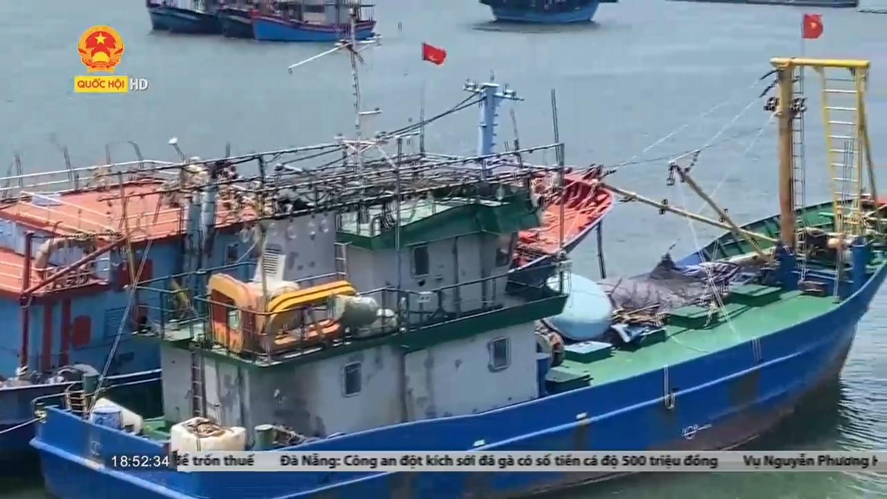 Quảng Ngãi: Tàu vỏ thép khiến ngư dân mất cả tàu lẫn nhà