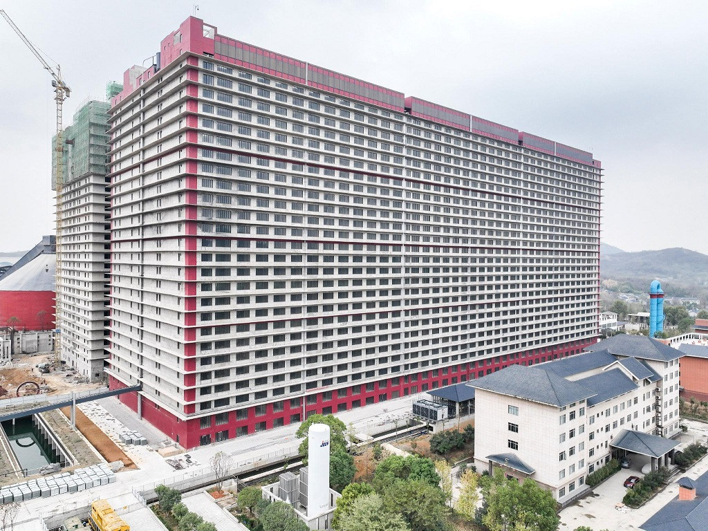 Khám phá chung cư cao 26 tầng cho lợn ở Trung Quốc