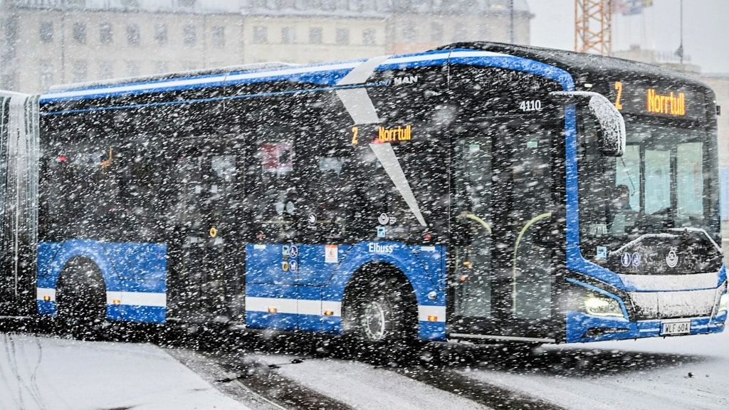 Thụy Điển: Bão tuyết hoành hành khiến nhiều khu vực tê liệt