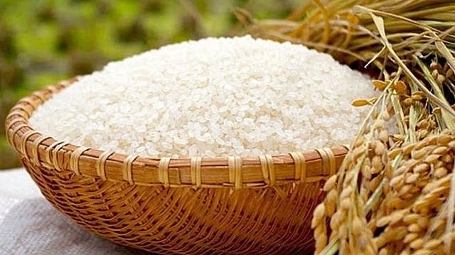 Giá gạo Việt Nam xuất khẩu sắp vượt mốc 600 USD/tấn
