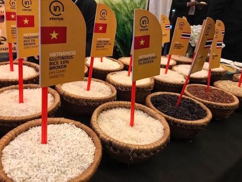 Việt Nam đang xuất nhiều gạo nhất thế giới
