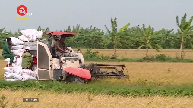 Xuất khẩu gạo Việt Nam đặt kỳ vọng kim ngạch 4,5 tỷ USD