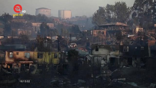 Số người thiệt mạng do cháy rừng ở Chile tăng lên 131 người