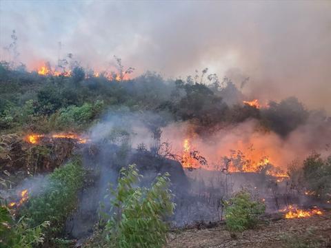 Nguy cơ cháy rừng ở nhiều khu vực trên cả nước