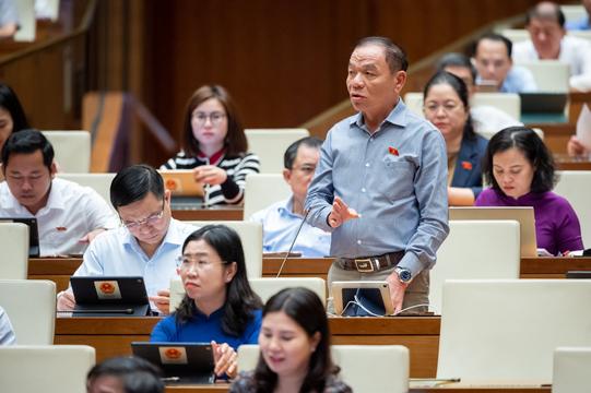Đại biểu Lê Thanh Vân: "Tổng Thanh tra Chính phủ trả lời không chính xác"