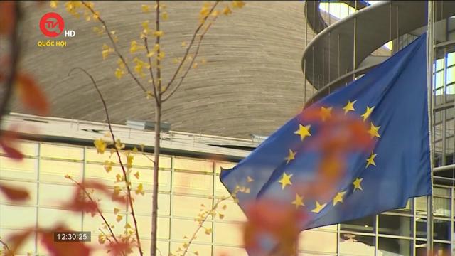 Chủ tịch Hội đồng Châu Âu thông báo kế hoạch từ chức trước thời hạn