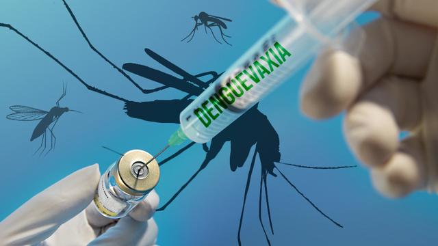 Việt Nam sẽ tiêm thử nghiệm vaccine sốt xuất huyết của Nhật Bản
