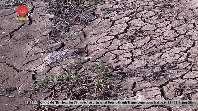 Cà Mau: Hơn 100 điểm sạt lở và sụt lún đất do khô hạn