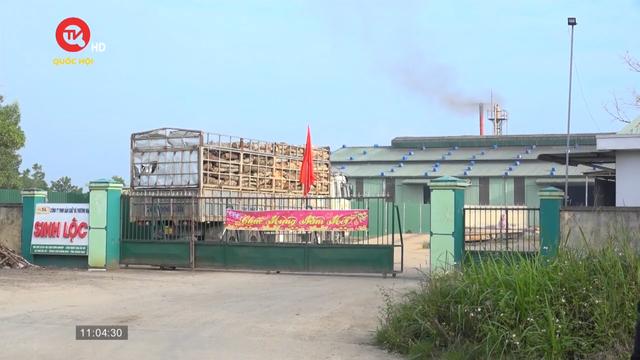 Quảng Ngãi: Xử phạt nhà máy xả thải có chất xyanua vượt hơn 21 lần