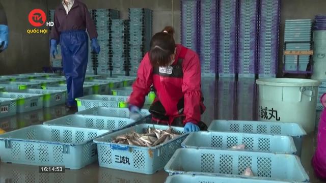 Phái đoàn IAEA lấy mẫu nước biển, cá ở Fukushima