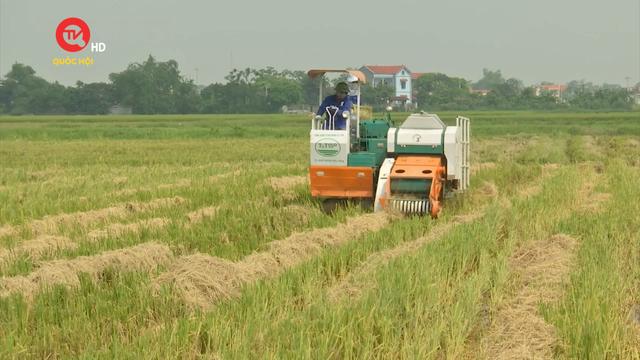 Nông nghiệp Việt Nam: Nông nghiệp tuần hoàn - nông nghiệp của tương lai