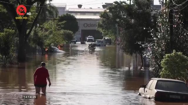 Mưa lũ gây ngập lụt nghiêm trọng tại Brazil 