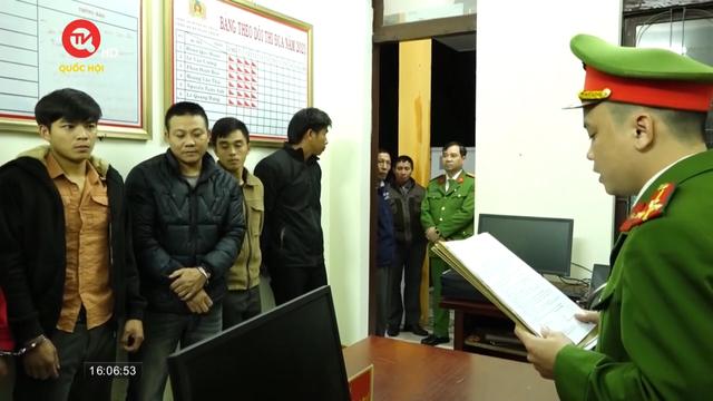 Quảng Bình khởi tố khai thác trộm rừng trồng