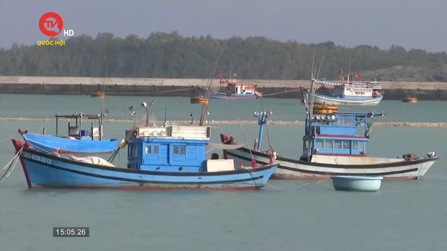 Bình Thuận: Sớm hoàn thành dự án khu neo đậu tránh trú bão cho tàu cá Phú Quý