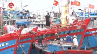 Quảng Ngãi: Chủ động cấm tàu thuyền ra khơi, đề phòng sạt lở núi 