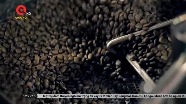 Sơn La: Phát triển chuỗi giá trị cà phê bền vững thân thiện môi trường 