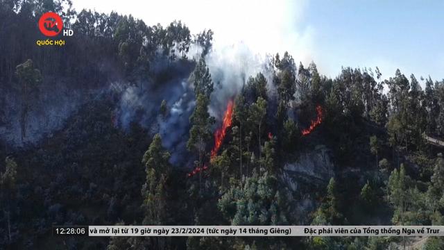 Colombia tuyên bố tình trạng thảm họa do cháy rừng
