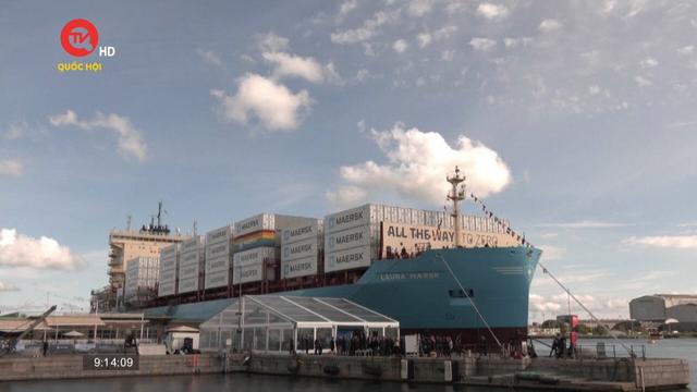 Maersk chuẩn bị nối lại hoạt động ở Biển Đỏ